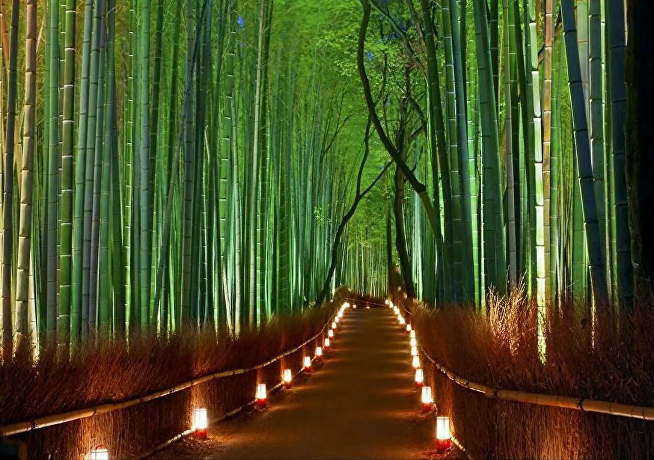 京都百寿庵 日本